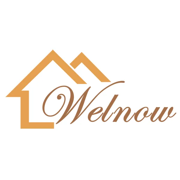 Welnow Logo